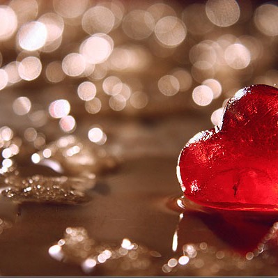 Geregistreerd-partnerschap