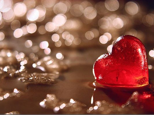 Geregistreerd-partnerschap Geregistreerd-partnerschap