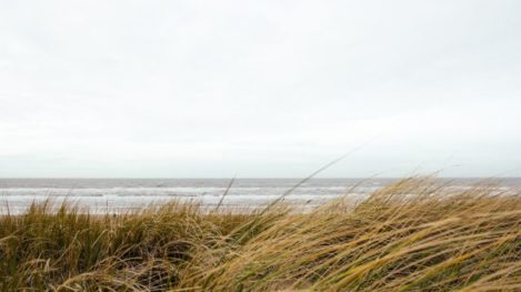 erfgenamen per 1 september beter beschermd