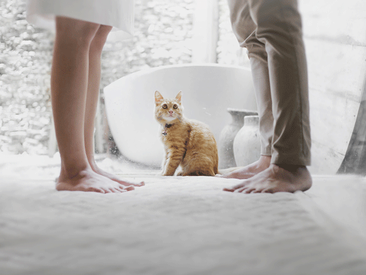 SAMENLEVINGSCONTRACT-ONTBINDEN–DAT-DOE-JE-ZO SAMENLEVINGSCONTRACT-ONTBINDEN--DAT-DOE-JE-ZO