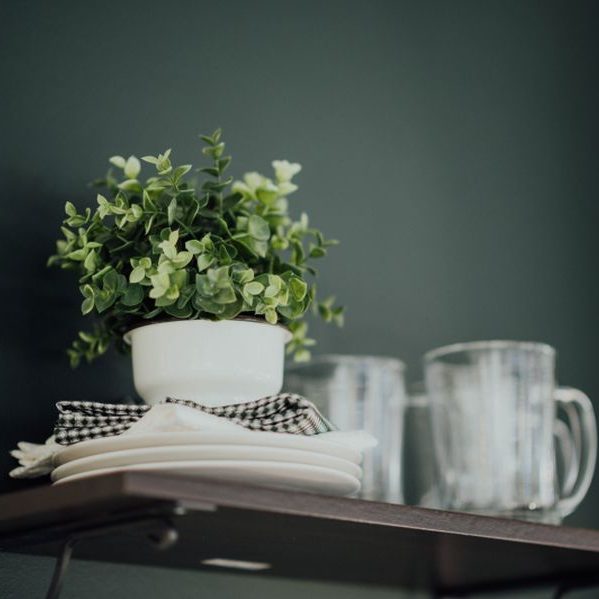 De hospitaregeling in Utrecht