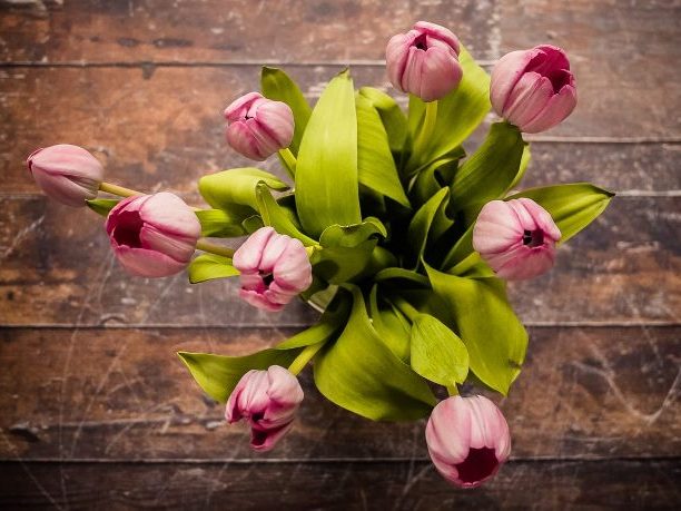 Het belang van huwelijkse voorwaarden voor een ondernemer-8