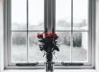 Uitspraak hoge raad over euthanasie-bij-dementie