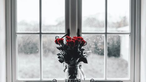 euthanasie-bij-dementie5 Uitspraak hoge raad over euthanasie-bij-dementie