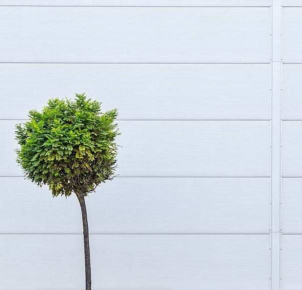 Tegenstrijdig belang bij een stichting