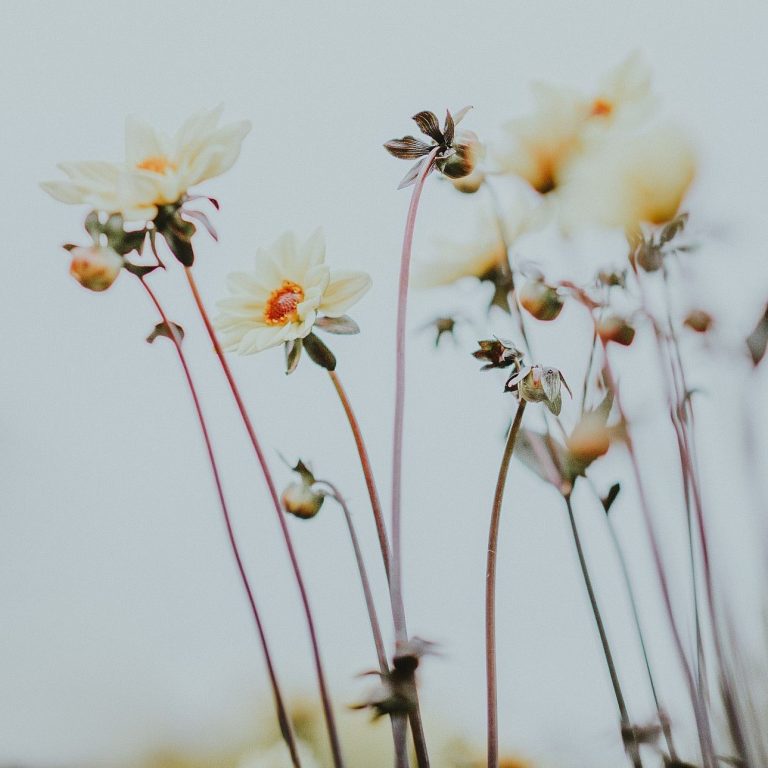 Een schenking of erfenis in 2021 hoeveel belasting moet je betalen